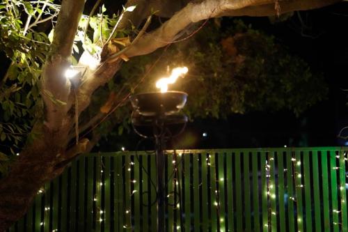 58902202_2192838977498611_1402568926818205696_n_2192838974165278